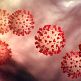 Coronavirus